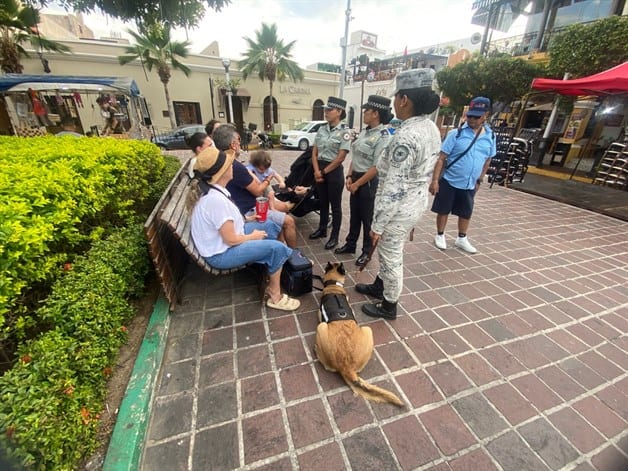 Imagen Placeholder Imagen Placeholder