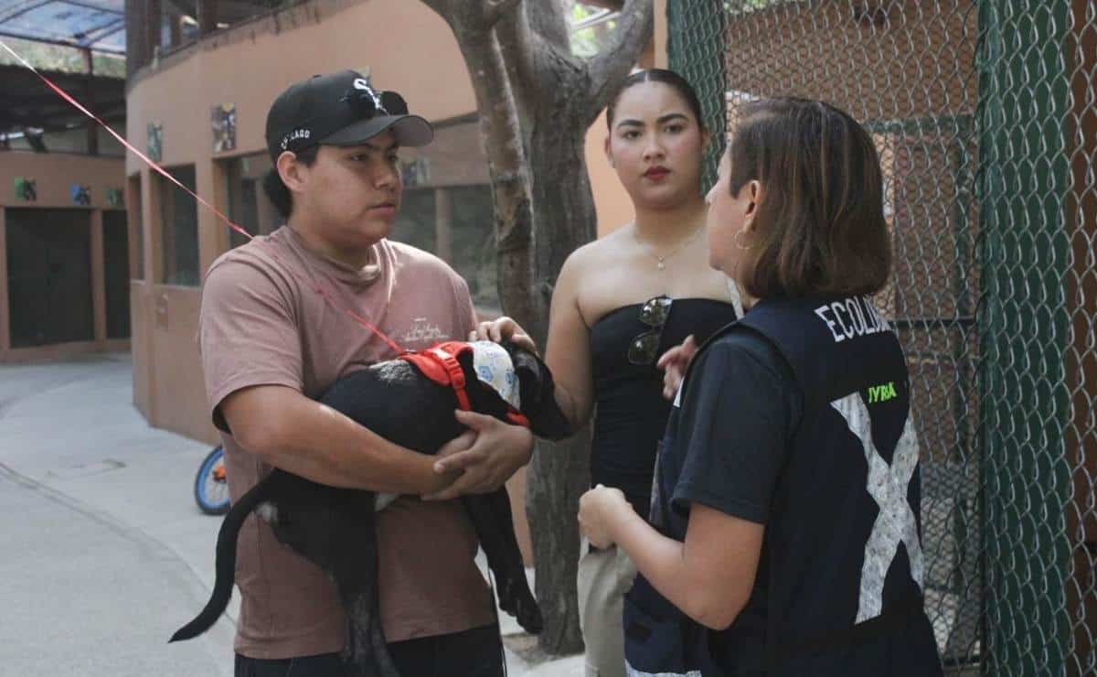 FOTO: Mayhan Barraza.