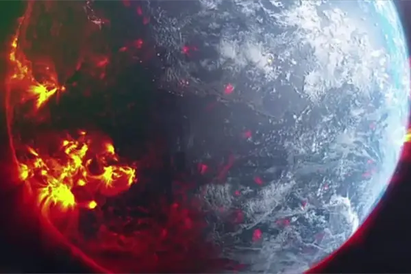 Este es el animal que dominará la tierra tras la extinción de los humanos, según expertos