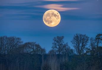 Luna del Lobo 2025: ¿cuándo es la primera luna llena de año y por qué se llama así?