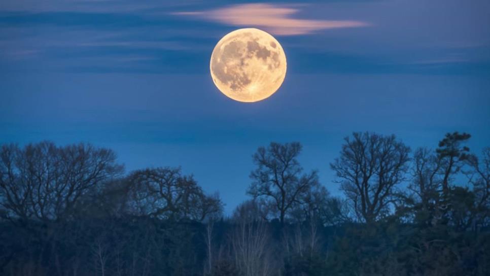 Luna del Lobo 2025: ¿cuándo es la primera luna llena del año y por qué se llama así?