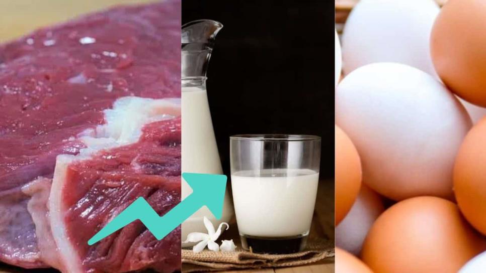 Huevos, leche y carne, entre los productos que aumentarían con el alza a gasolinas este 2025