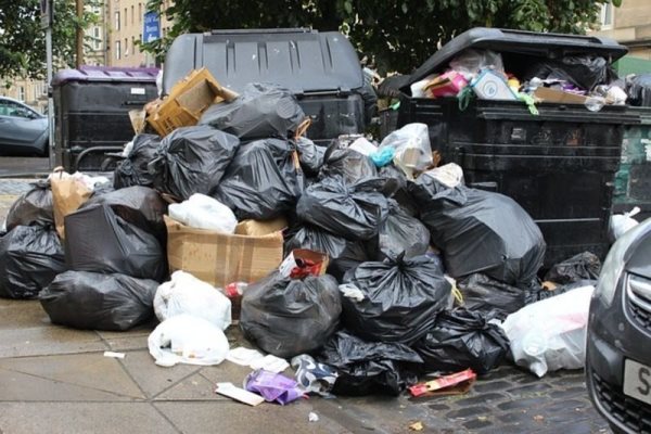 Contenedores de basura en Los Mochis, ¿por qué los prohibieron?