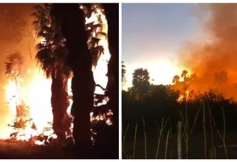 Fuego consume gran extensión de maleza y palmeras en Los Taxtes, El Fuerte