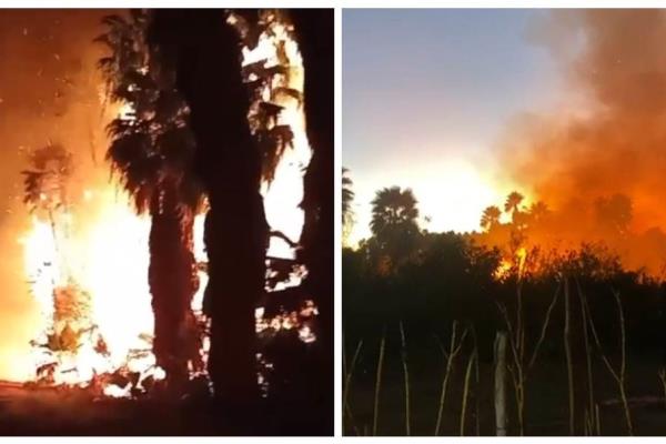 Fuego consume gran extensión de maleza y palmeras en Los Taxtes, El Fuerte