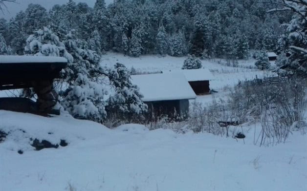 Imagen Placeholder Imagen Placeholder