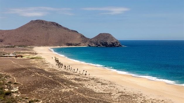 Imagen Placeholder Imagen Placeholder