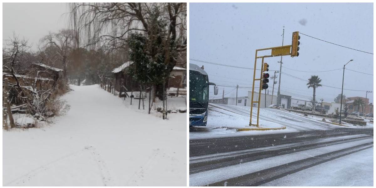 FOTO: Protección Civil de Sonora.