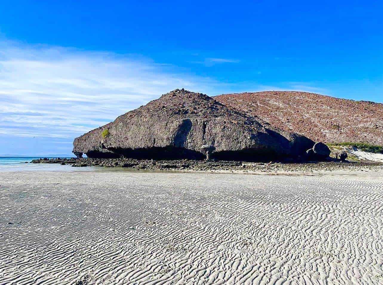 FOTOS: Vive La Paz MX.