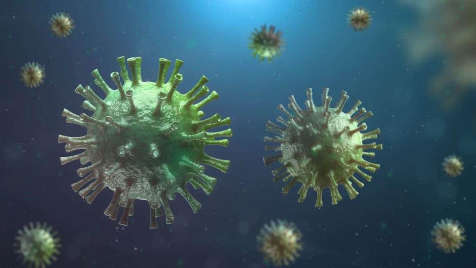 Metapneumovirus HMPV: ¿qué es y cuántos casos confirmados hay en México