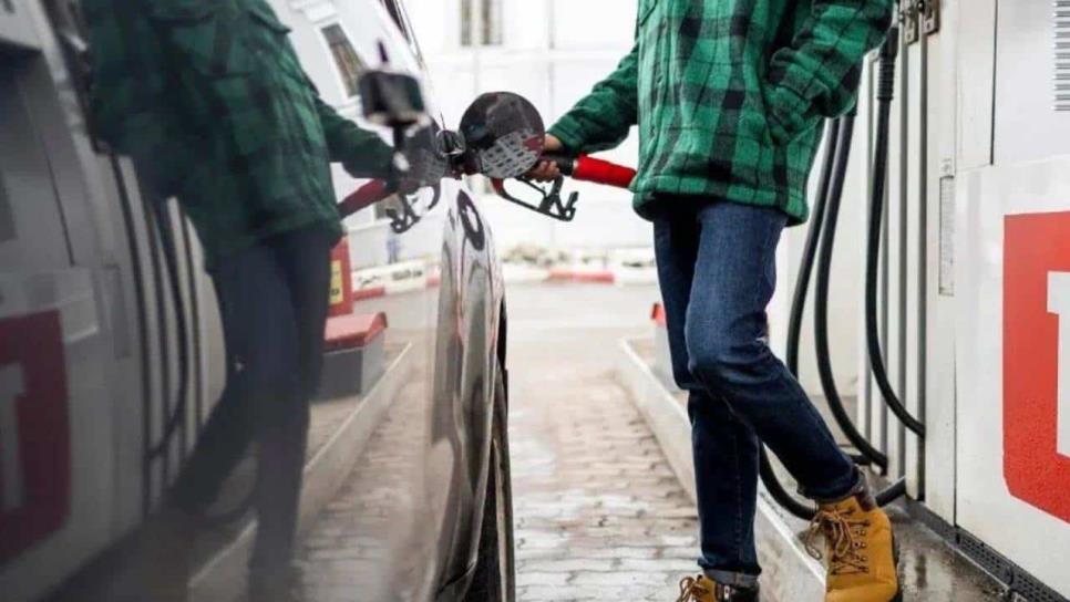 ¿Buscas un auto que no gaste mucha gasolina? Conoce estos 3 modelos disponibles en México