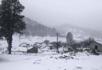 Así cayó nieve en Durango, zonas serranas se pintaron de blanco | VIDEO  