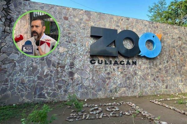 Al termino de la entrega-recepción conoceremos los animales que hay en el Zoológico de Culiacán: Director