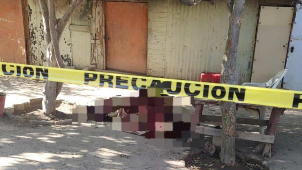 Localizan muerto a un jornalero en una cuartería de Ruiz Cortines, Guasave