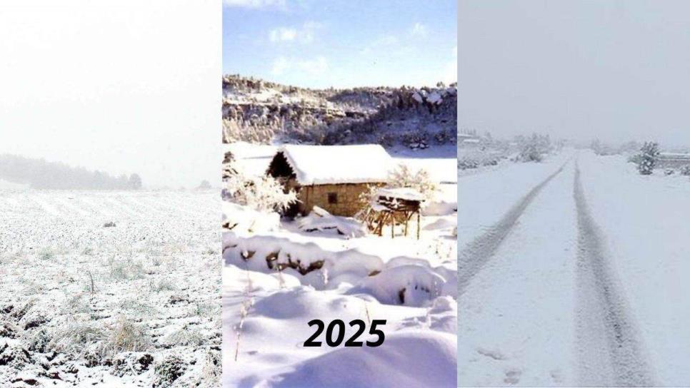 Nevadas cerca de Sinaloa, disfruta de los lugares que se visten de blanco este 2025