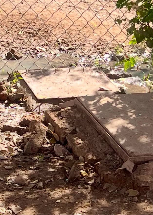 Imagen Placeholder Imagen Placeholder