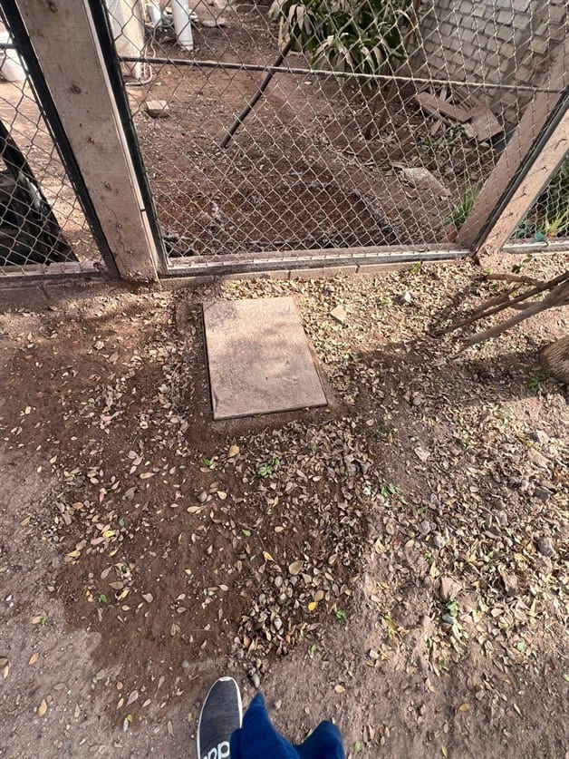 Imagen Placeholder Imagen Placeholder