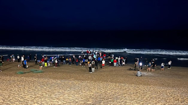 Imagen Placeholder Imagen Placeholder