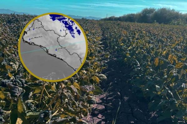 El Valle del Carrizo amanece con 2.2 °C tras el paso del Frente Frío 22 por Sinaloa