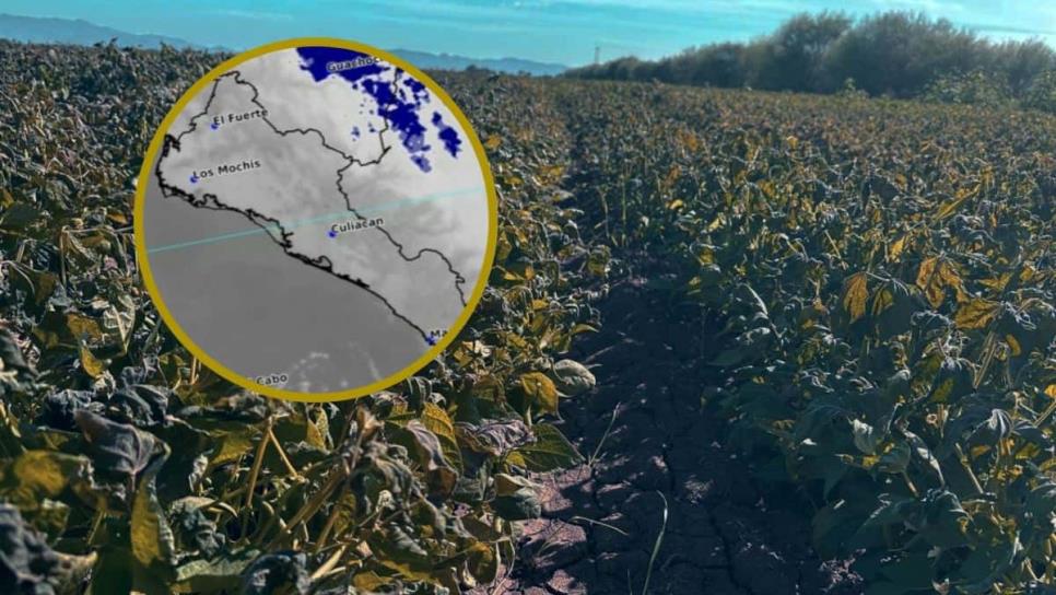 El Valle del Carrizo amanece con 2.2 °C tras el paso del Frente Frío 22 por Sinaloa