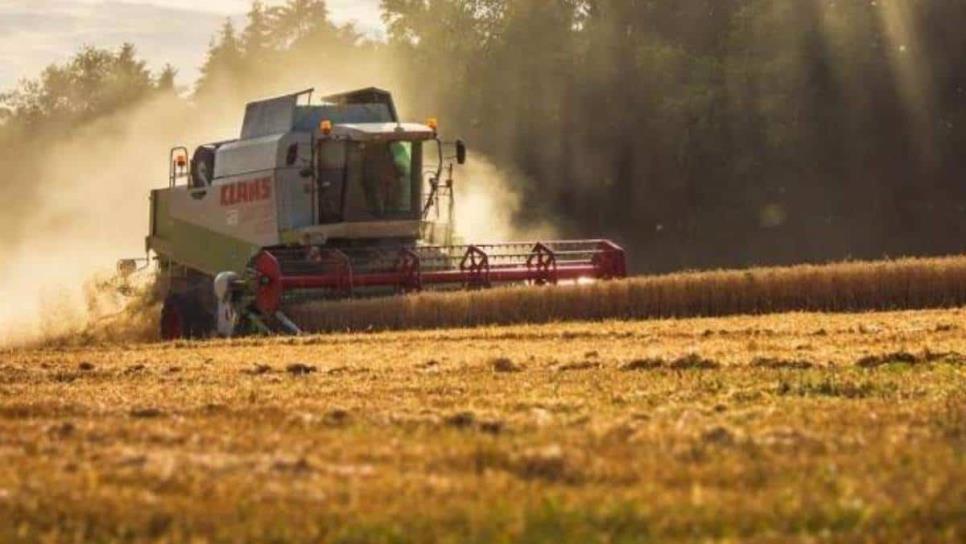 Productores piden sacar de la Bolsa de Chicago el precio de los granos