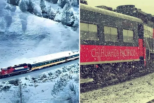 Así se ve la nieve desde “El Chepe”, hermosas postales regala este recorrido en ferrocarril | VIDEO