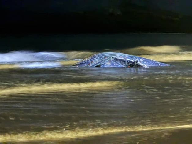 Imagen Placeholder Imagen Placeholder