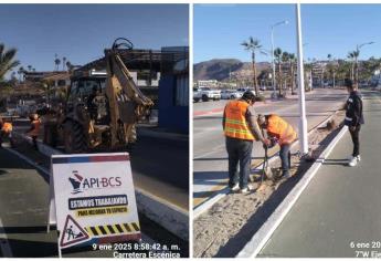 Así quedará el Malecón de La Paz, BCS, con su modernización; contará con carretera escénica