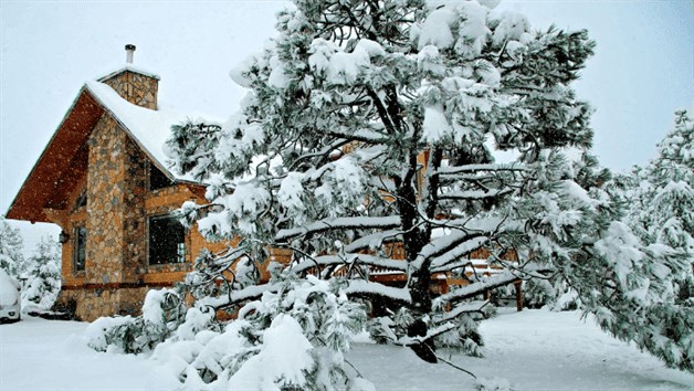 Imagen Placeholder Imagen Placeholder