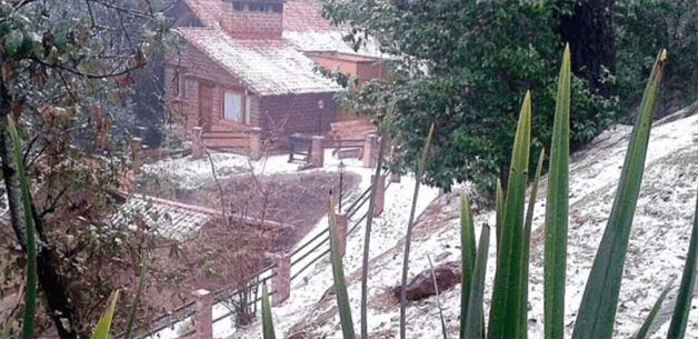 Imagen Placeholder Imagen Placeholder