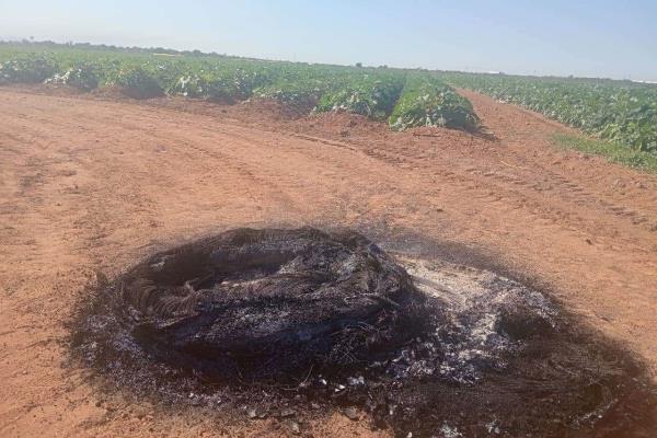 Ahome levanta actas contra productores de El Carrizo por quema de llantas 