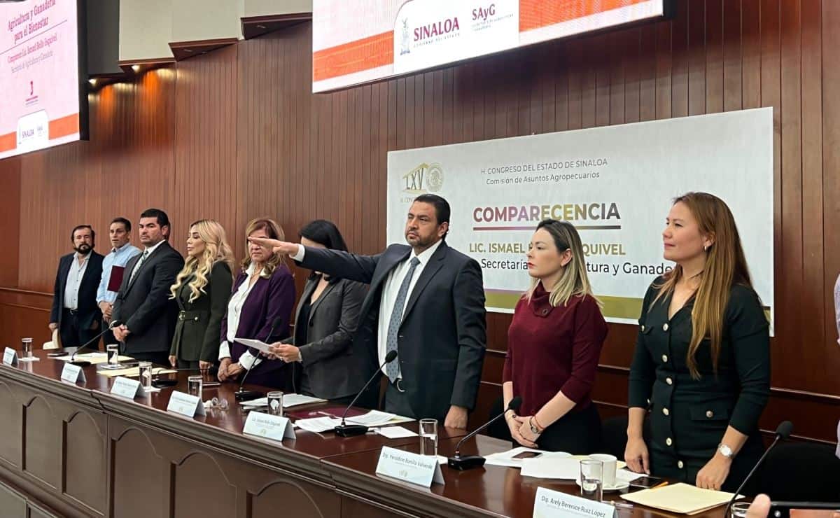 Secretaría de Agricultura apoyó a más de 24 mil productores de maíz, destaca Ismael Bello