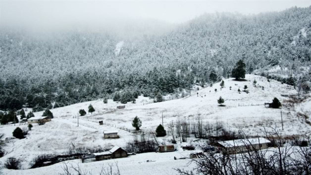 Imagen Placeholder Imagen Placeholder