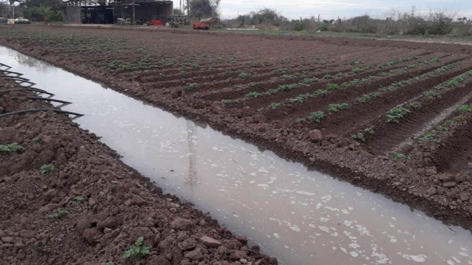 Incrementa demanda de agua para riegos agrícolas en el Valle del Carrizo