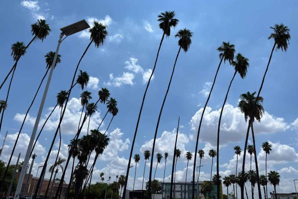 Clima en Los Mochis este martes, 21 de enero,: cielos despejados y temperaturas frescas