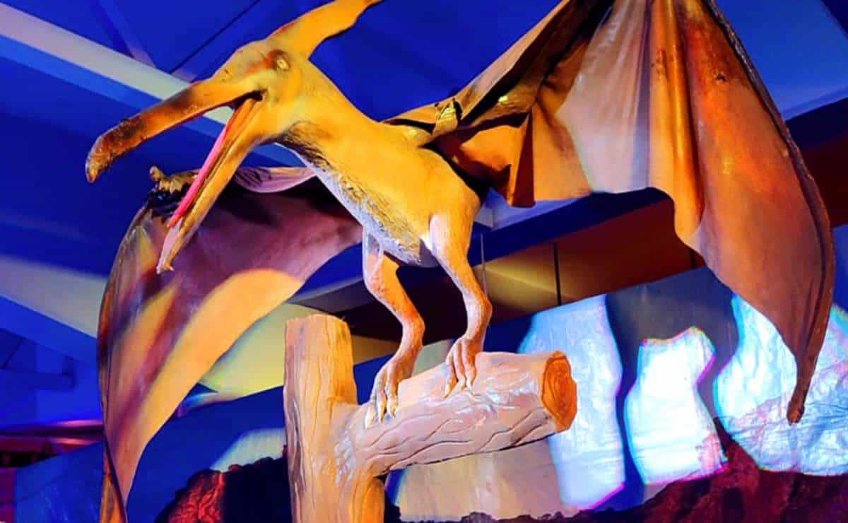 Dinosaurios Animatronics en Mazatlán tiene promoción de despedida ¿cuándo se van?