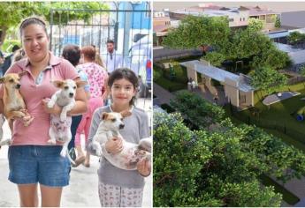 Ahome proyecta  “Parque Perrón” en la San Francisco;  vecinos se oponen y exigen se reubique