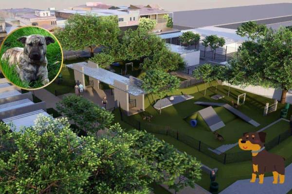 Parque perrón en Los Mochis: ¿Cómo será este proyecto y dónde estará?