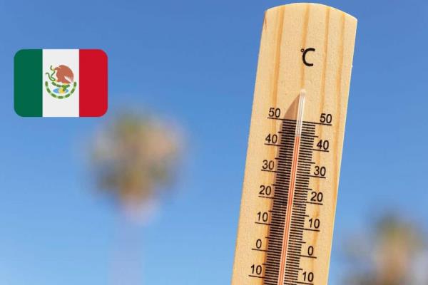Ola de calor 2025: Consejos para protegerte y los estados más afectados