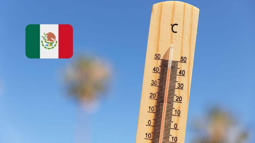 Ola de calor 2025: Consejos para protegerte y los estados más afectados