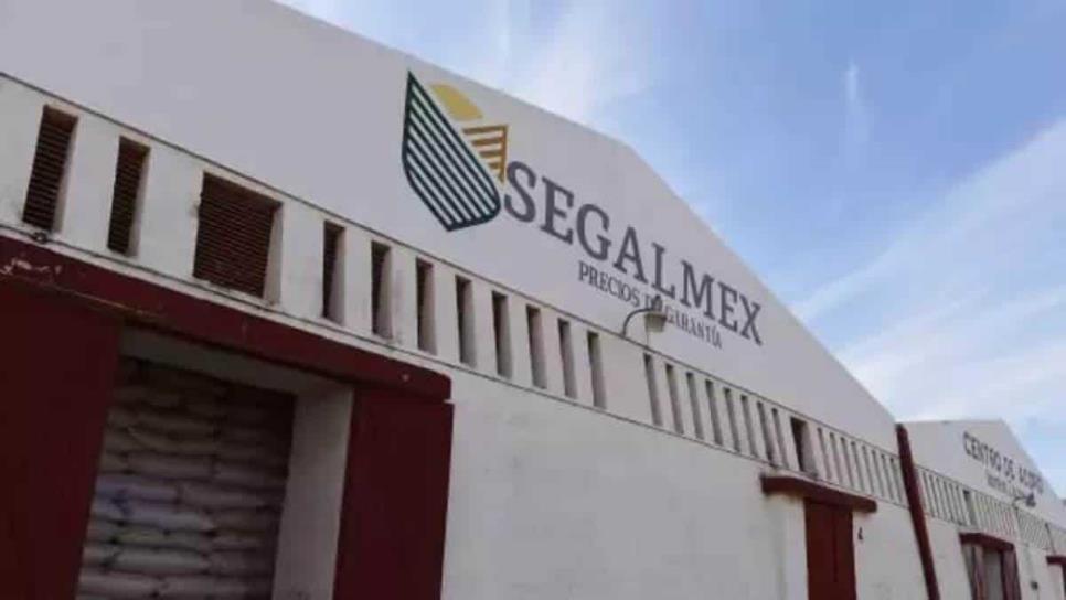 Segalmex desaparece e inicia fusión con Diconsa para crear Alimentación para el Bienestar