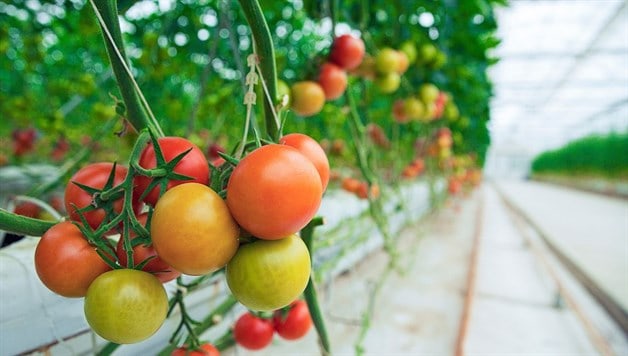 Imagen Placeholder Imagen Placeholder