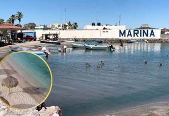 Proyectan muelle en El Manglito, zona exclusiva de La Paz, BCS