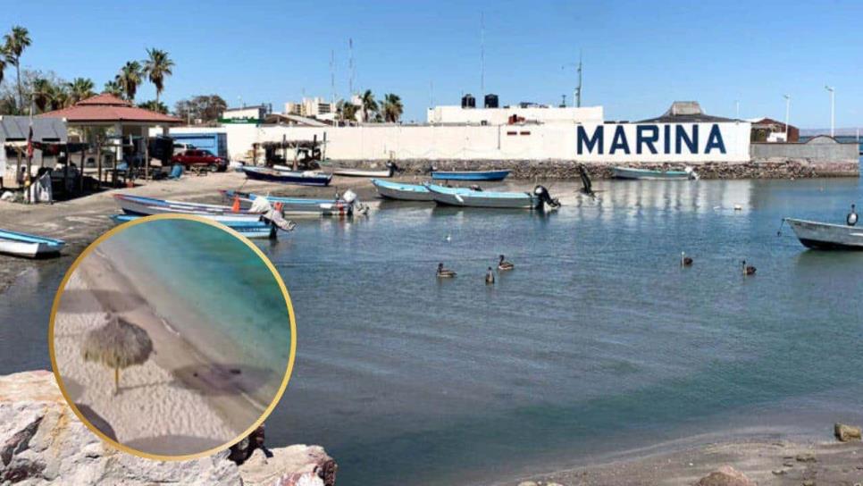 Proyectan muelle en El Manglito, zona exclusiva de La Paz, BCS