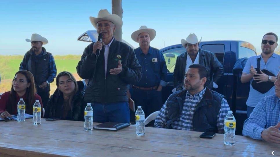 Anuncian reactivación de pagos  a trigueros de Sinaloa