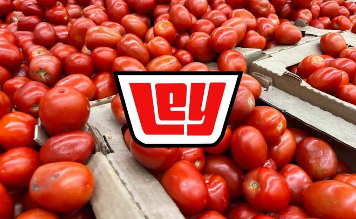 Casa Ley: ofertas del 28 y 29 de enero 2025