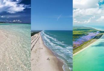 Playas del Golfo de México que tienes que visitar al menos una vez en la vida