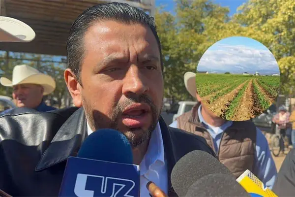 Sinaloa, en la incertidumbre ante amenaza de aranceles de EU Sinaloa, en la incertidumbre ante amenaza de aranceles de EU