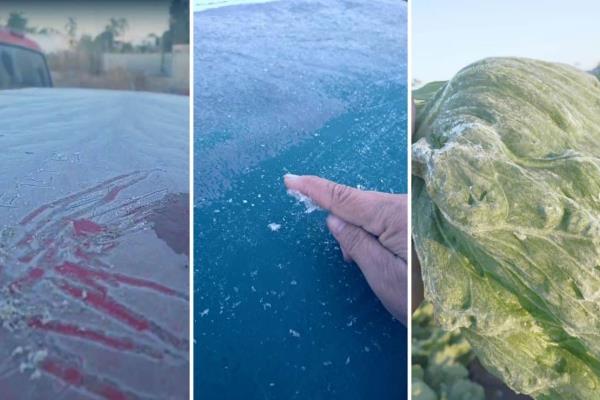 ¡Congelante amanecer en El Fuerte y Choix! Autos cubiertos de escarcha y temperaturas de hasta -2°C