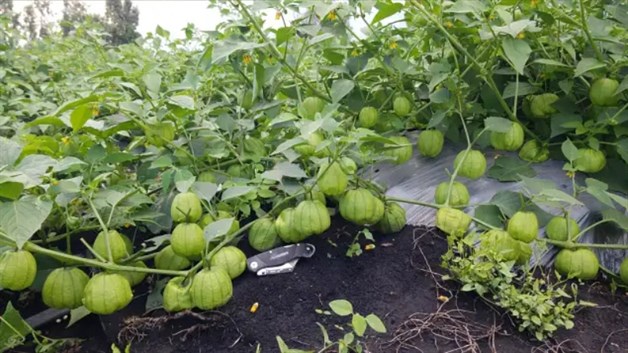 Imagen Placeholder Imagen Placeholder